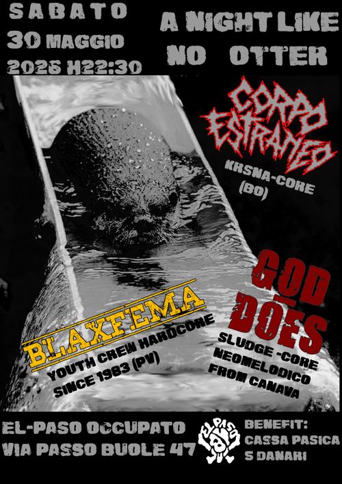 A night like no otter