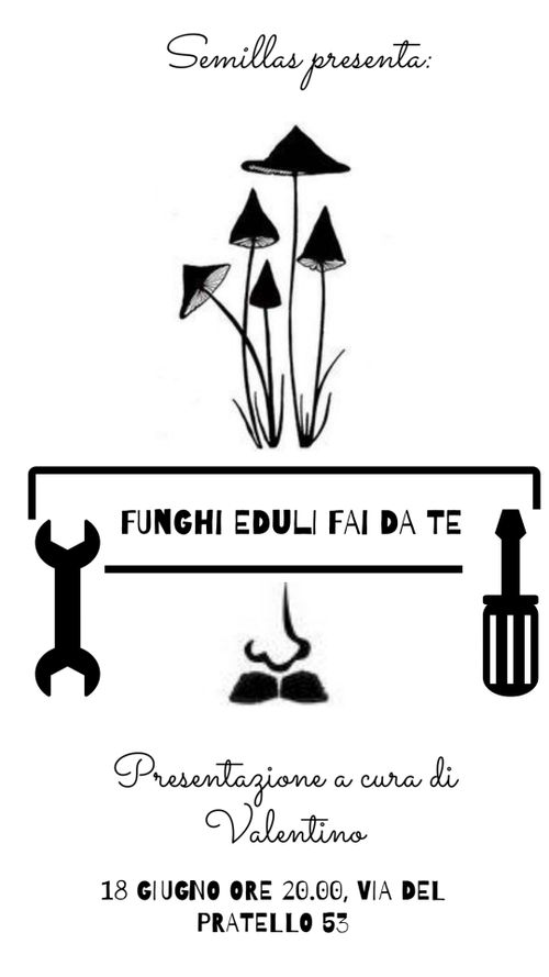 Procedimento per creare funghi eduli