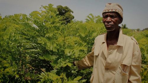 Projecció de LA VENA VERDA + + col·loqui amb membres d'Eixarcolant