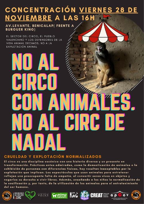 Concentració No al circ de Nadal