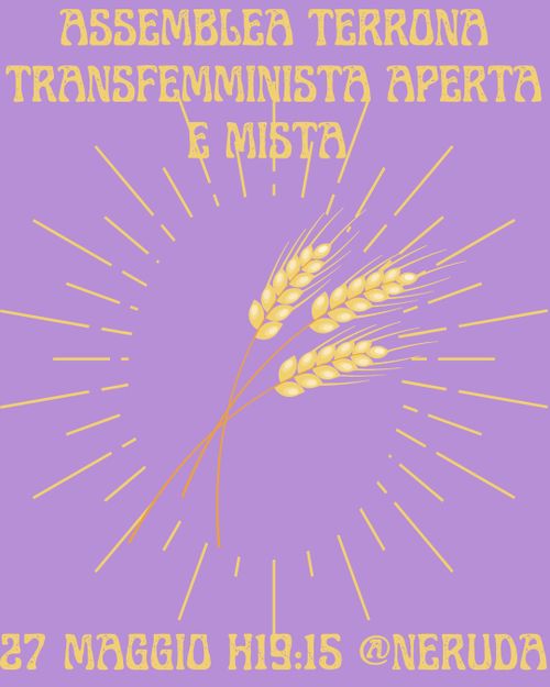 Assemblea Terrona transfemminista aperta e mista