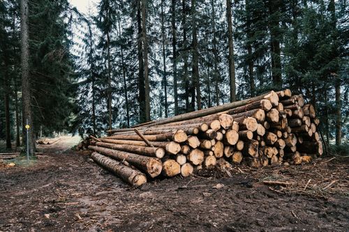 Kies vom Niederrhein oder Holz aus dem Sauerland – woher kommen die Rohstoffe fürs urbane Bauen in den Ballungsräumen NRWs?
