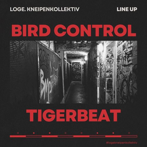 BIRD CONTROL + TIGERBEAT