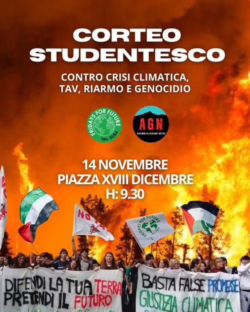 Corteo studentesco