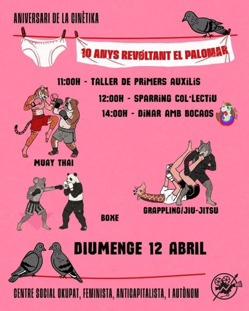 Taller de primers auxilis i Sparring col·lectiu al Gimnàs