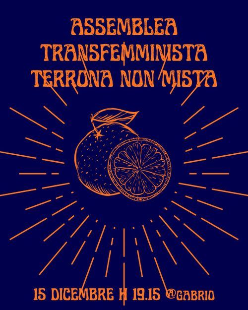 Assemblea Terrona Transfemminista non mista 