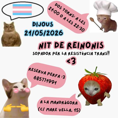 Nit de Reinonis