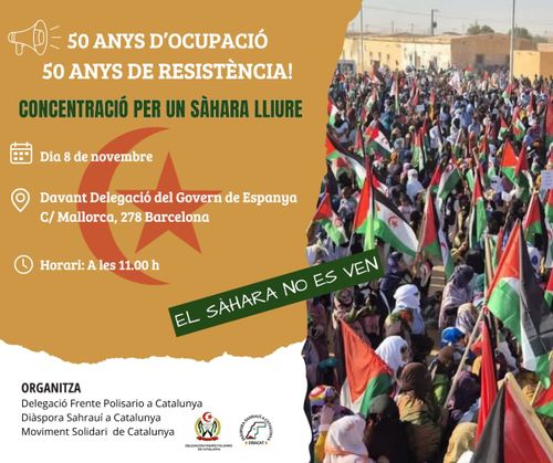 Concentració per un Sàhara lliure