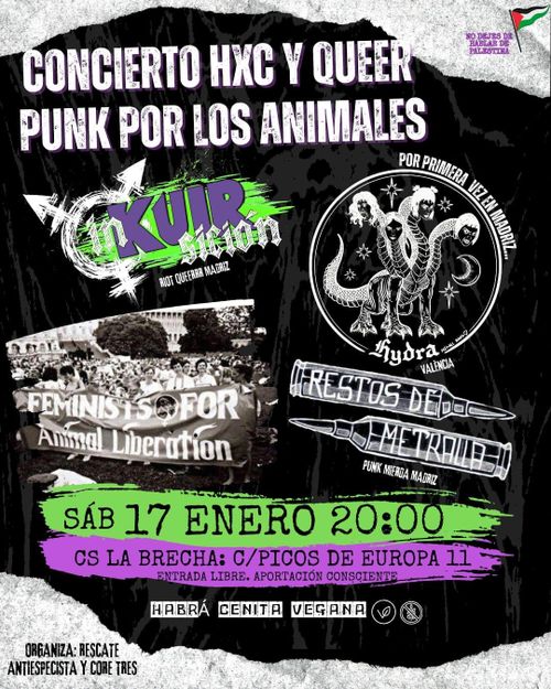 Concierto HxC y QueerPunk