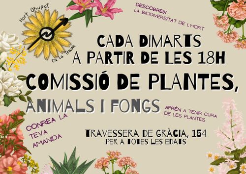 Comisió plantes