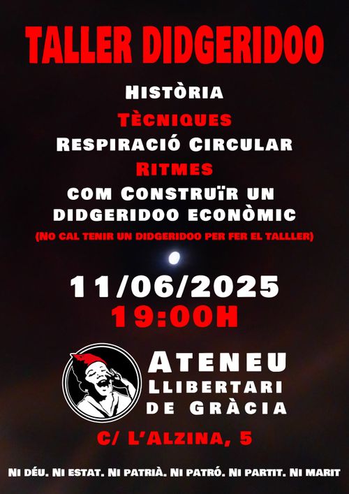 Taller de Didgerido
