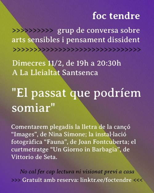 Foc tendre, grup de conversa sobre arts sensibles i pensament dissident (#2)