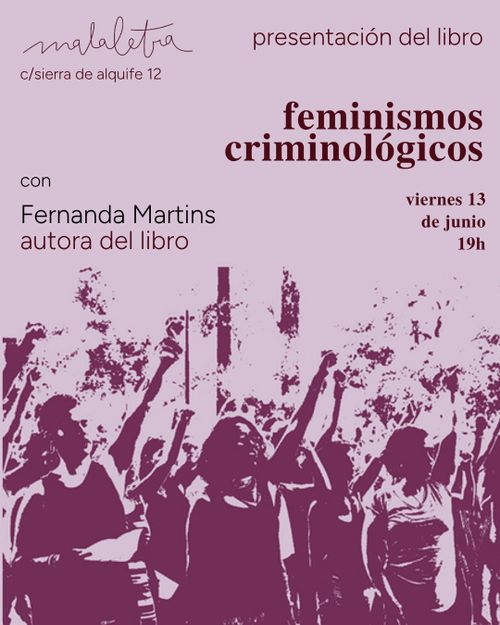 feminismos criminológicos