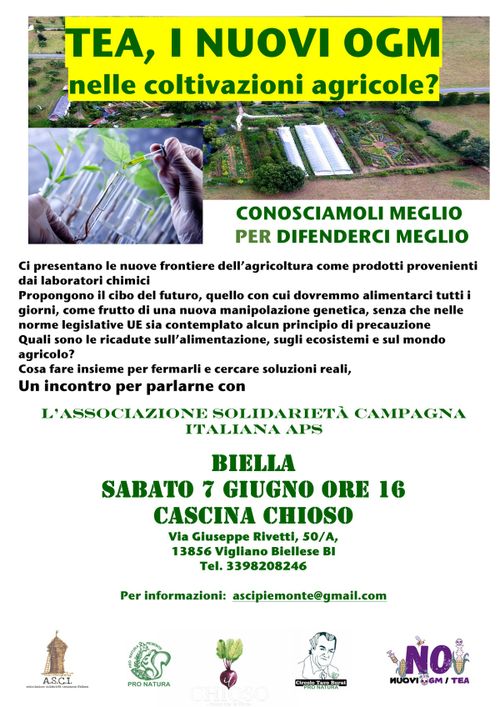 TEA, i nuovi OGM nelle coltivazioni agricole?