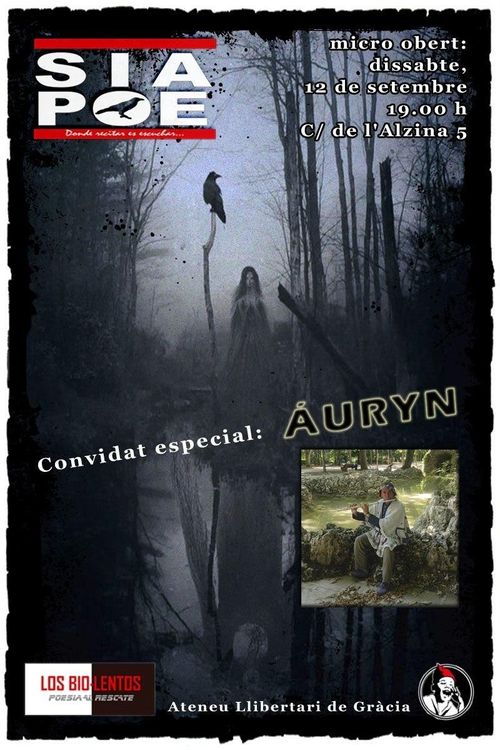 SÍ Ⓐ POE i micro obert