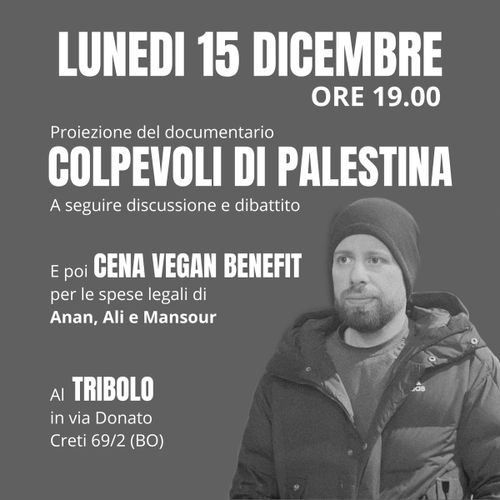 COLPEVOLI DI PALESTINA