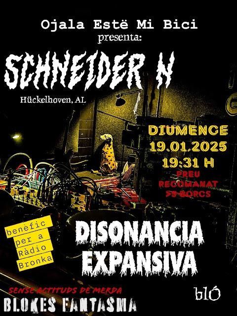 SCHNEIDER N + DISONANCIA EXPANSIVA