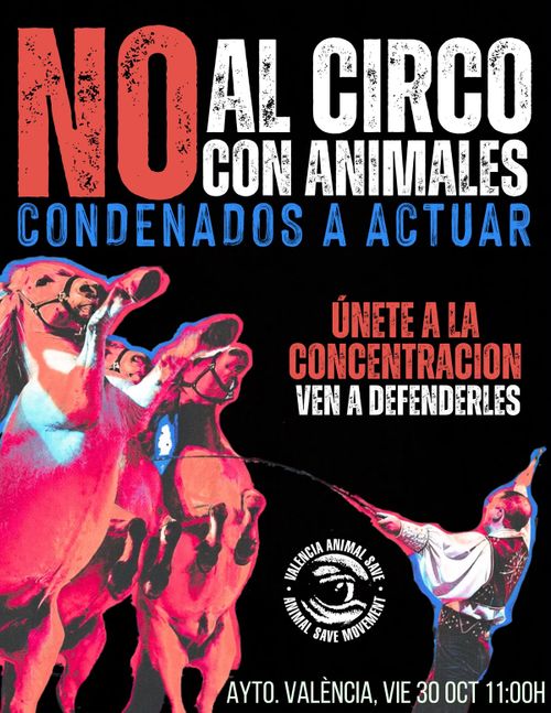 Acción contra el circo con animales