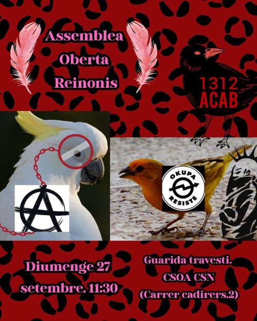 Assemblea oberta de Reinonis