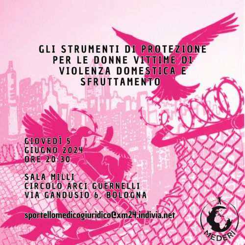 Diritto e pratica dell'immigrazione - Gli strumenti di protezione per le donne vittime di violenza domestica e sfruttamento