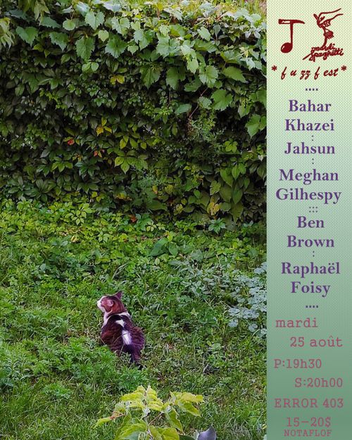 :: Bahar Khazei / Jahsun / Mehgan Gilhespy + Ben Brown / Raphaël Foisy ::