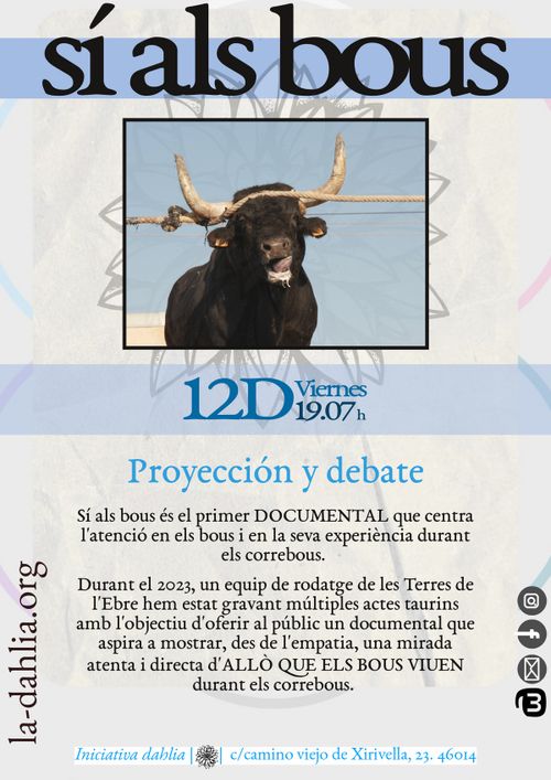 Cartel con un fondo arrugado gris con algunos círculos de colores en los laterales. aparece la foto de un toro con una cuerda sobre sus cuernos, visiblemente estresado contra un cielo azul claro. Se puede leer Proyección y debate del documental "Si als bous" y la descripción del docu.