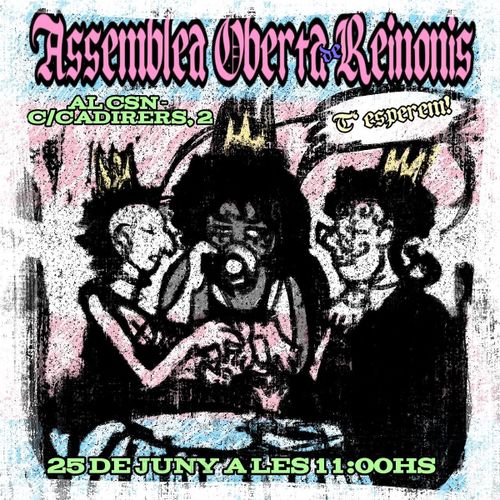 Assemblea oberta de Reinonis 