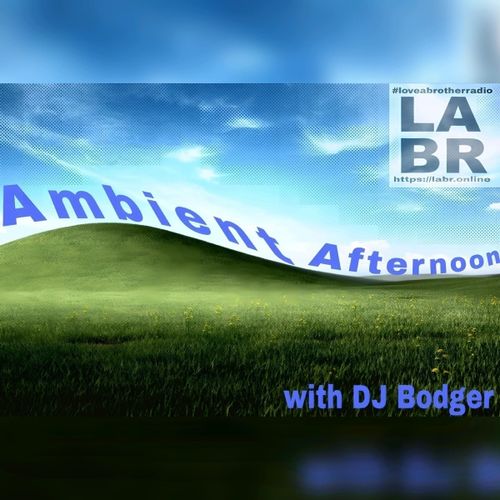 https://labr.online
