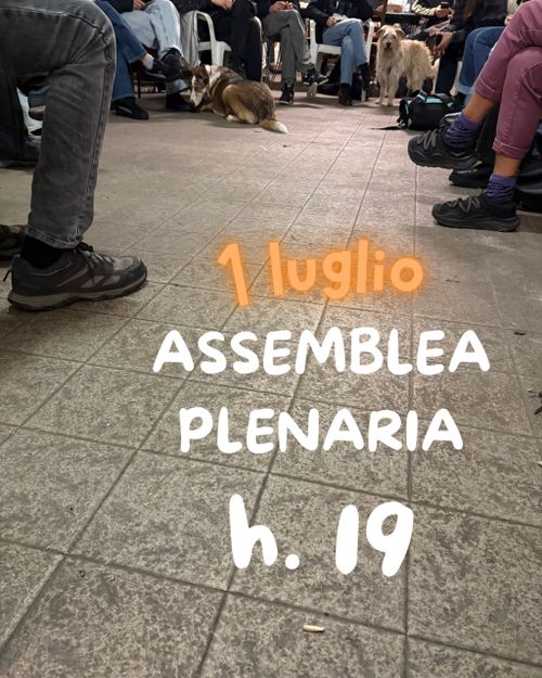 Assemblea Plenaria Food Not Bombs