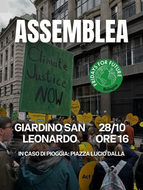 Assemblea FFF