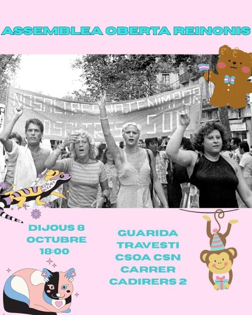 Assemblea oberta de Reinonis