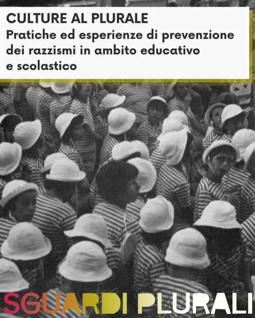 Culture al plurale
