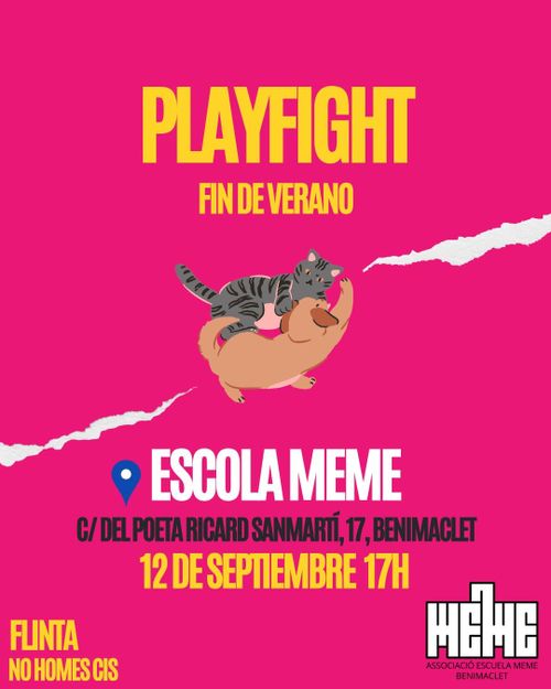 PLAYFIGHT