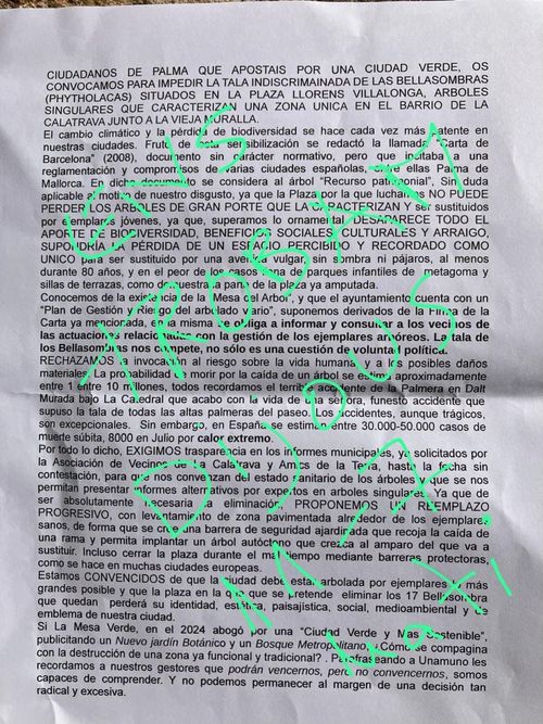 🚨 URGENT: ATUREM LA TALA DELS 🌳 BELLAOMBRES DE LA PLAÇA LLORENÇ VILLALONGA