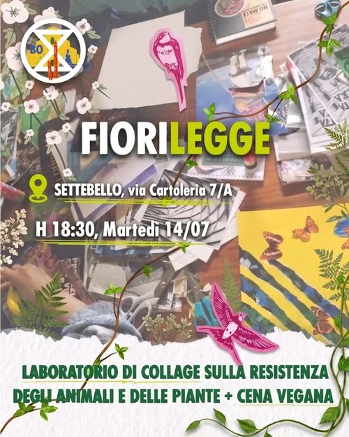 Fiorilegge