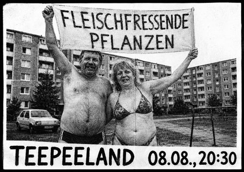 Fleischfressende Pflanzen