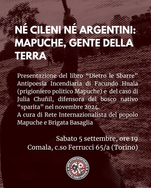 Mapuche gente della terra